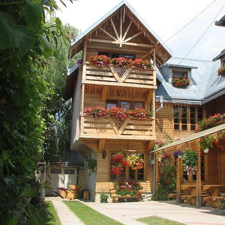 Pension Crizantema Ватра Молдовицей Экстерьер фото