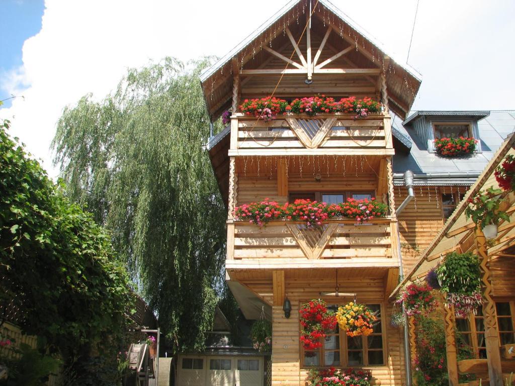 Pension Crizantema Ватра Молдовицей Экстерьер фото